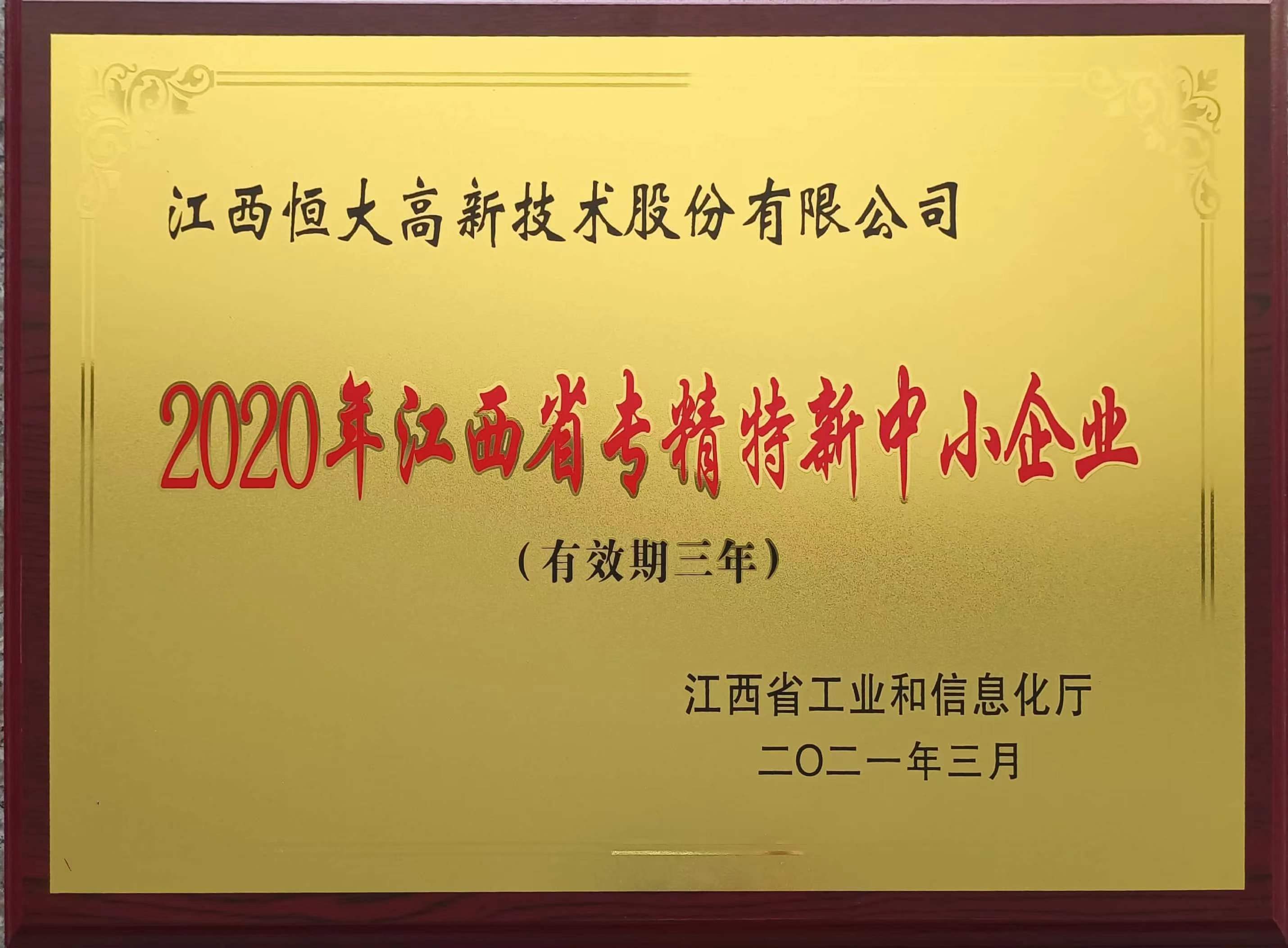 2020年度专精特新中小企业